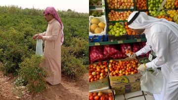 رقابة مكثفة على المنتجات الزراعية في خليص ورابغ