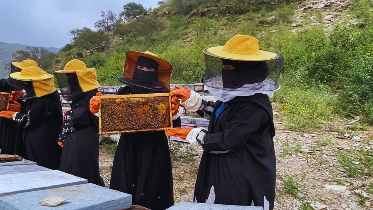 طالبات رجال ألمع يخضن تجربة الريادة البيئية عبر تربية النحل 5 طالبات رجال ألمع يخضن تجربة الريادة البيئية عبر تربية النحل