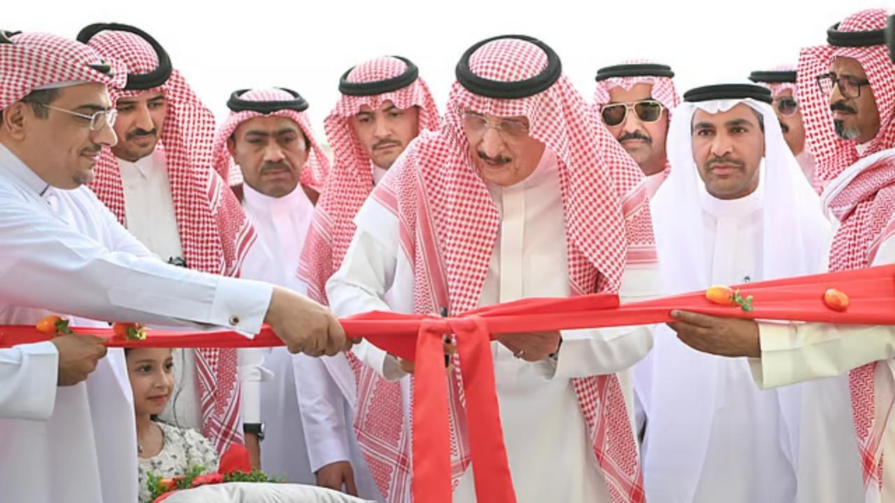 مهرجان المانجو يجذب المزارعين والمستثمرين إلى جازان 5 مهرجان المانجو يجذب المزارعين والمستثمرين إلى جازان