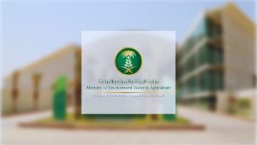 بيئة الباحة تواصل إعادة تأهيل مدرجات دوس وبرحرح
