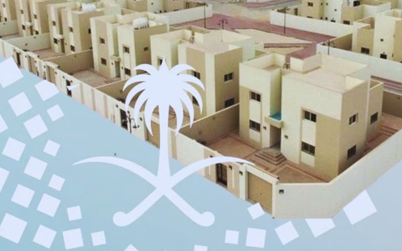 أمانة الطائف تعزز التنمية بالأحياء عبر مبادرة تطوعية جديدة